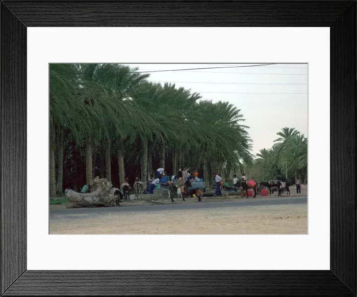 Framed Print : Collecting water in the evening in an oasis in the Sahara Framed Print : Collecting water in the evening in an oasis in the Sahara