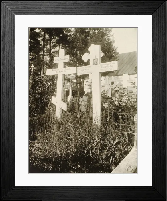 Framed Print : Graves in the cemetery of the Novodevichy (New Maidens ) Convent, Moscow, Russia, 1929 Framed Print : Graves in the cemetery of the Novodevichy (New Maidens ) Convent, Moscow, Russia, 1929