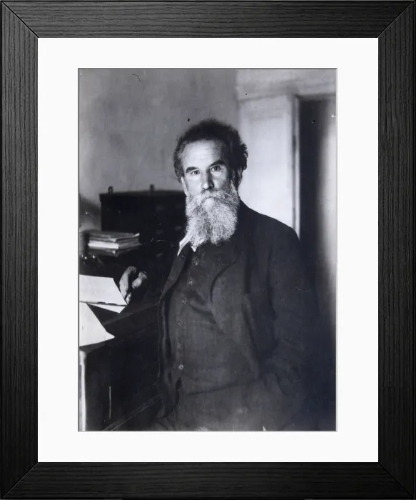 Framed Print : Vladimir Korolenko, Russian author, 1910s Framed Print : Vladimir Korolenko, Russian author, 1910s