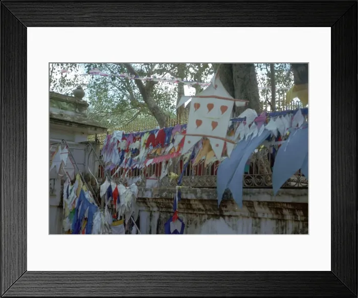 Framed Print : Sacred bo-tree at Anuradhapura in Sri Lanka Framed Print : Sacred bo-tree at Anuradhapura in Sri Lanka
