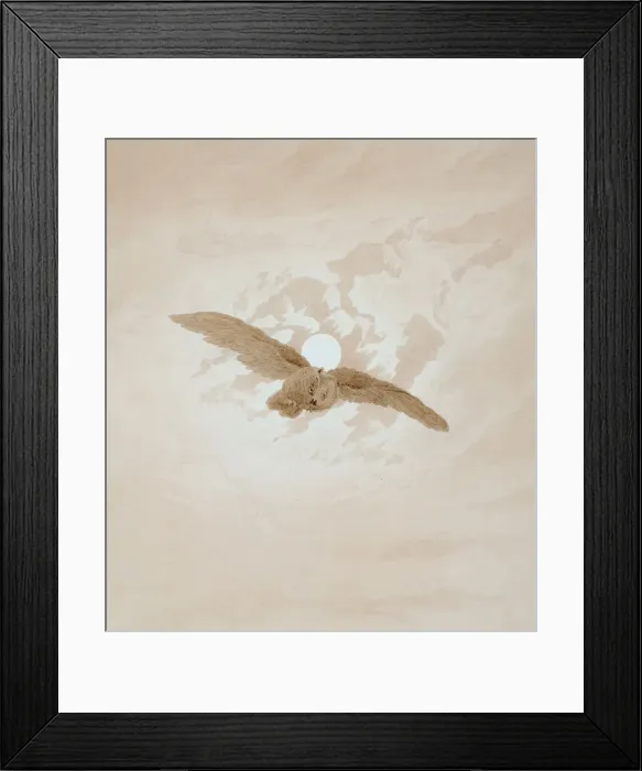 Framed Print : Owl Flying against a Moonlit Sky, 1836-1837. Artist: Caspar David Friedrich Framed Print : Owl Flying against a Moonlit Sky, 1836-1837. Artist: Caspar David Friedrich