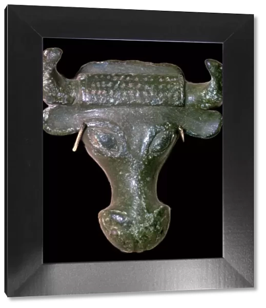 Bronze Bulls head escutcheon