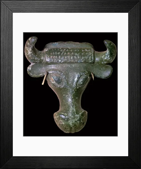 Framed Print : Bronze Bulls head escutcheon Framed Print : Bronze Bulls head escutcheon