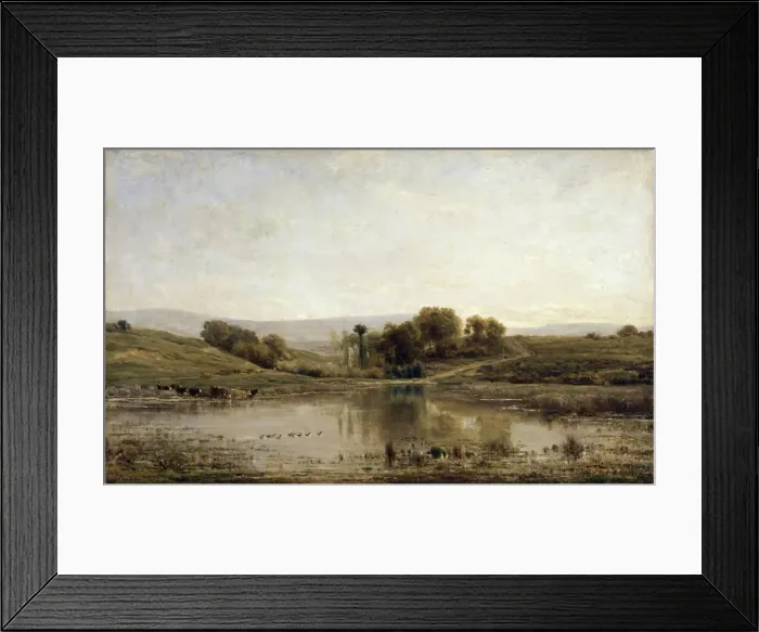 Framed Print : A Pond, 1858. Artist: Charles Francois Daubigny Framed Print : A Pond, 1858. Artist: Charles Francois Daubigny