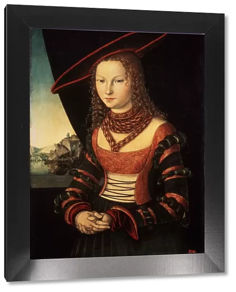 Female portrait, 1526