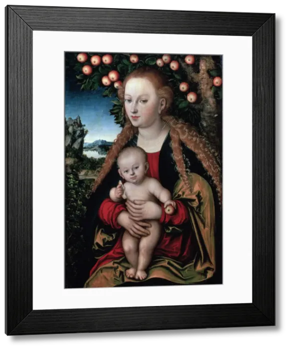 Framed Print : The Virgin and Child under an Apple Tree, c1525 Framed Print : The Virgin and Child under an Apple Tree, c1525