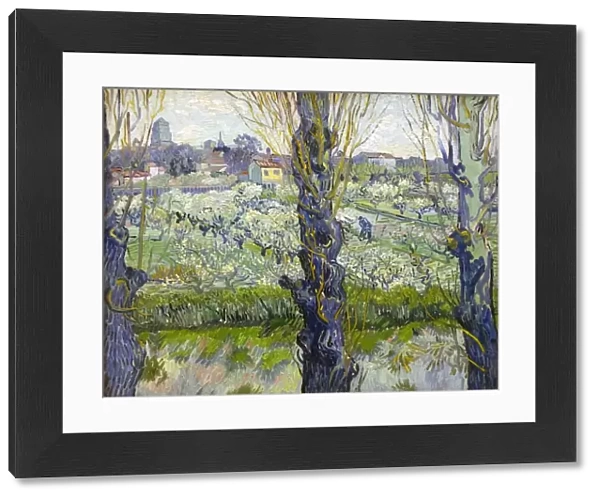 Orchard in Blossom with View of Arles, 1889. Artist: Vincent van Gogh