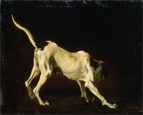 A Dog, 17th century. Artist: Frans Snyders