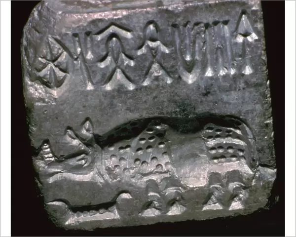 Rhinoceros in a Pakistani steatite seal, 25th century BC
