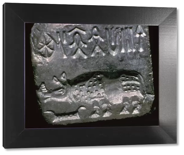 Rhinoceros in a Pakistani steatite seal, 25th century BC