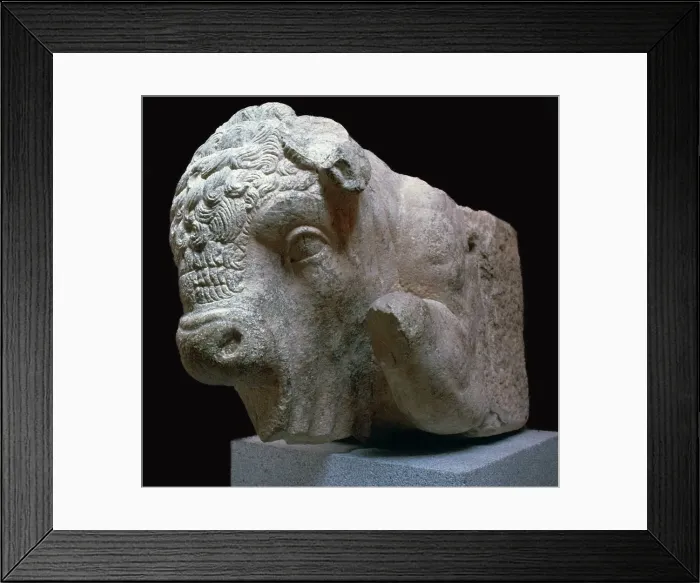 Framed Print : Bulls head Roman sculpture from the Municipal Forum in Merida, 1st century BC Framed Print : Bulls head Roman sculpture from the Municipal Forum in Merida, 1st century BC