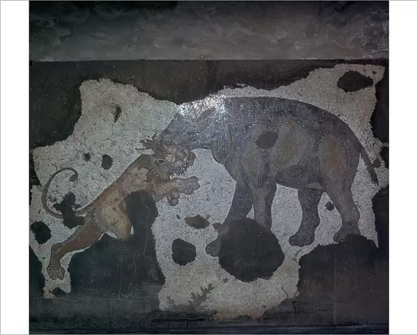 Mosaic of animal combat at the Great Palace in Istanbul, 6th century