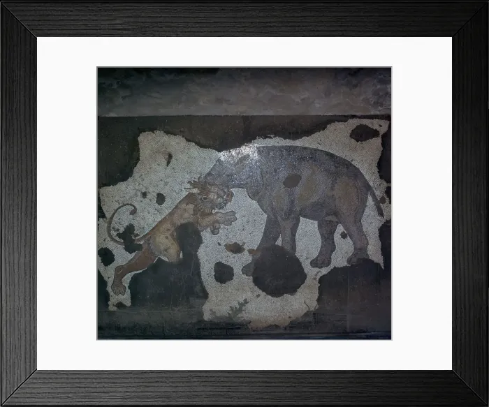 Framed Print : Mosaic of animal combat at the Great Palace in Istanbul, 6th century Framed Print : Mosaic of animal combat at the Great Palace in Istanbul, 6th century