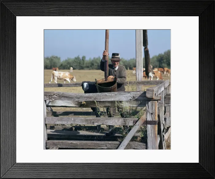 Framed Print : Raising water for cattle from a well in Hungary. Artist: CM Dixon Framed Print : Raising water for cattle from a well in Hungary. Artist: CM Dixon