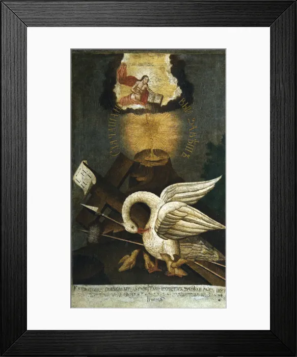 Framed Print : Pelican, early 19th century Framed Print : Pelican, early 19th century