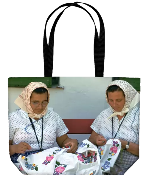 Two Hungarian women embroidering. Artist: CM Dixon