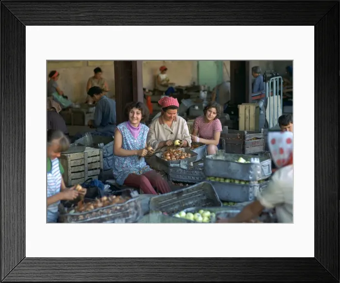 Framed Print : Workers at a factory preparing vegetables. Artist: CM Dixon Framed Print : Workers at a factory preparing vegetables. Artist: CM Dixon