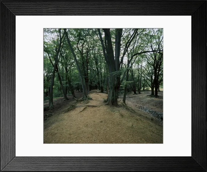 Framed Print : Ambersbury Banks Iron Age fort, 8th century BC Framed Print : Ambersbury Banks Iron Age fort, 8th century BC