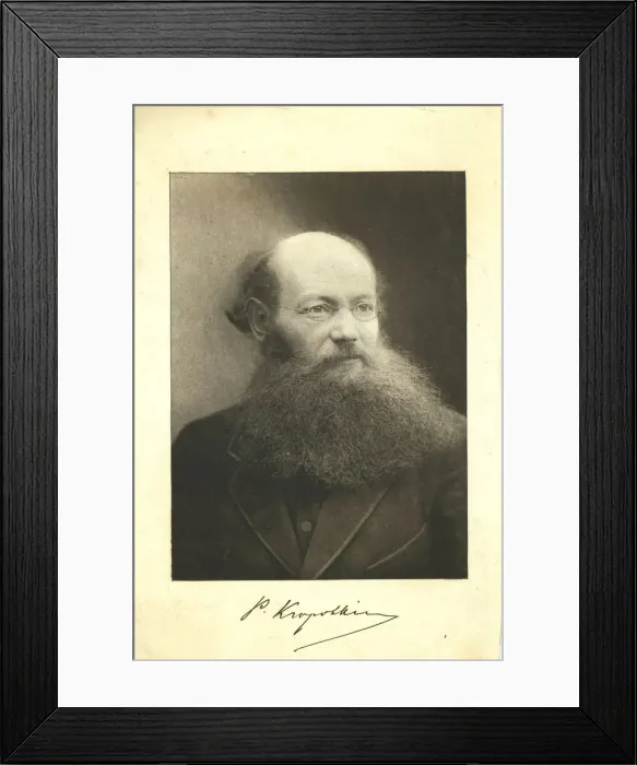 Framed Print : Portrait of Count Peter (Pyotr) Alexeyevich Kropotkin (1842-1921)