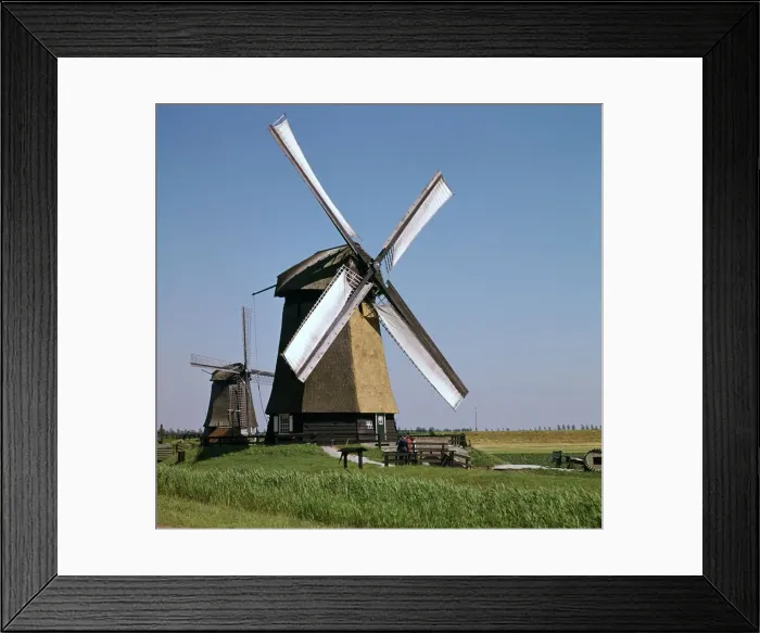 Framed Print : Windmills in Holland Framed Print : Windmills in Holland