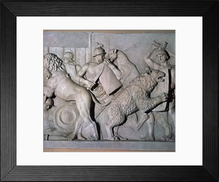 Framed Print : Roman relief of gladiators fighting wild beasts. 1st century Framed Print : Roman relief of gladiators fighting wild beasts. 1st century