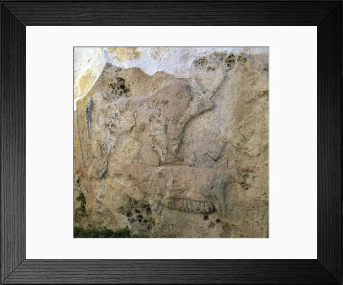 Framed Print : Sow-and-piglets relief from Malta Framed Print : Sow-and-piglets relief from Malta
