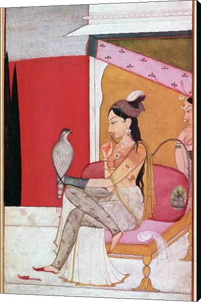 Punjabi illustration of a lady with a hawk