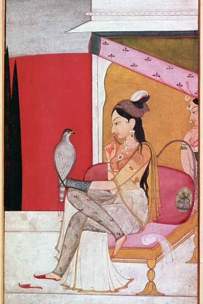 Punjabi illustration of a lady with a hawk