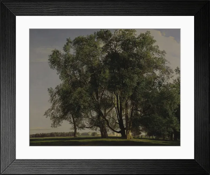Framed Print : Prater Landscape, 1830. Artist: Waldmuller, Ferdinand Georg (1793-1865) Framed Print : Prater Landscape, 1830. Artist: Waldmuller, Ferdinand Georg (1793-1865)
