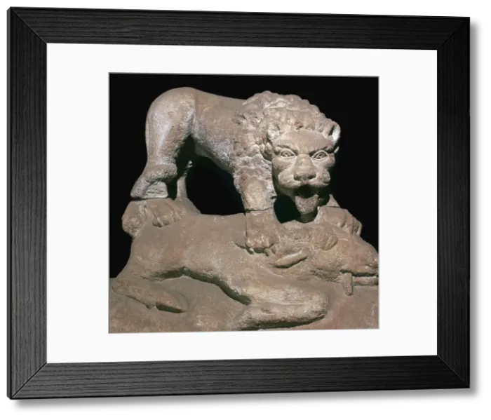 Framed Print : The `Romano-British Corbridge Lion, 2nd century Framed Print : The `Romano-British Corbridge Lion, 2nd century