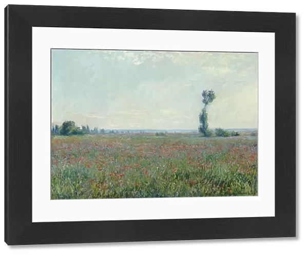 Poppy field, 1881. Artist: Monet, Claude (1840-1926)