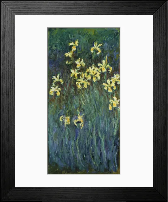 Framed Print : Yellow Irises, 1914-1917. Artist: Monet, Claude (1840-1926) Framed Print : Yellow Irises, 1914-1917. Artist: Monet, Claude (1840-1926)
