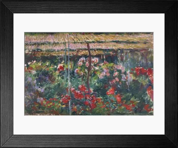 Framed Print : Peony Garden, 1887. Artist: Monet, Claude (1840-1926) Framed Print : Peony Garden, 1887. Artist: Monet, Claude (1840-1926)