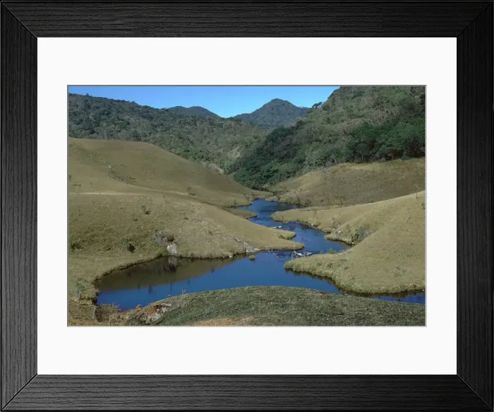 Framed Print : Horton plains grassland and forest. Artist: CM Dixon Framed Print : Horton plains grassland and forest. Artist: CM Dixon