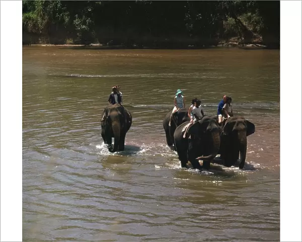 Elephant cooling off in a river. Artist: CM Dixon
