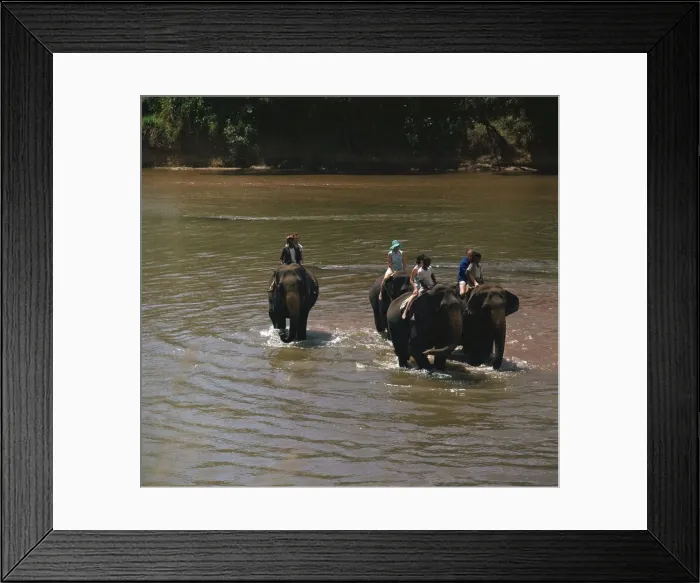 Framed Print : Elephant cooling off in a river. Artist: CM Dixon Framed Print : Elephant cooling off in a river. Artist: CM Dixon