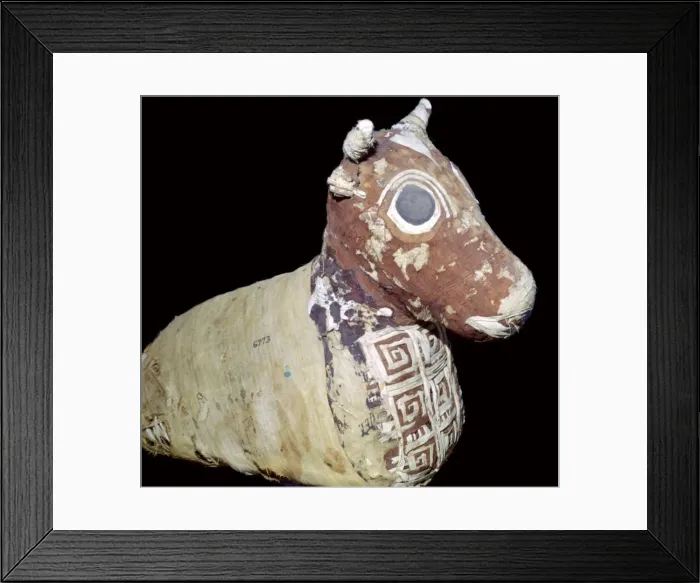 Framed Print : Mummified bull, from Thebes, Egypt, Roman Period, after 30 BC Framed Print : Mummified bull, from Thebes, Egypt, Roman Period, after 30 BC