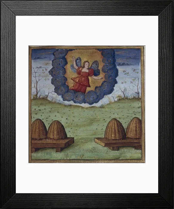 Framed Print : Illustration for the Georgics by Virgil, 1450-1499. Artist: Coetivy Master (active c. 1450-1485) Framed Print : Illustration for the Georgics by Virgil, 1450-1499. Artist: Coetivy Master (active c. 1450-1485)