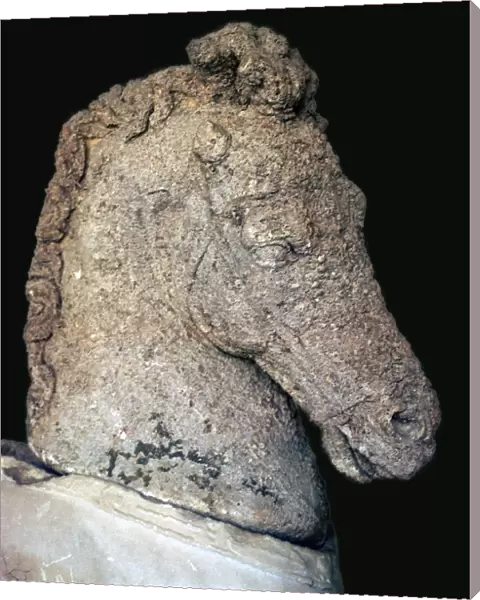 Greek marble horses head, c. 5th century BC