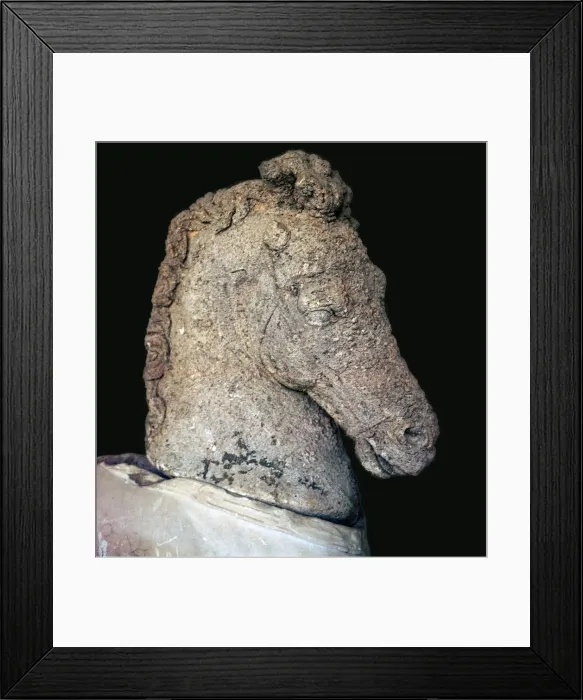 Framed Print : Greek marble horses head, c. 5th century BC Framed Print : Greek marble horses head, c. 5th century BC