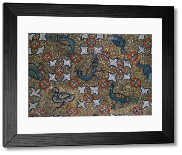 Framed Print : Roof mosaic of peacocks and other birds, 6th century Framed Print : Roof mosaic of peacocks and other birds, 6th century