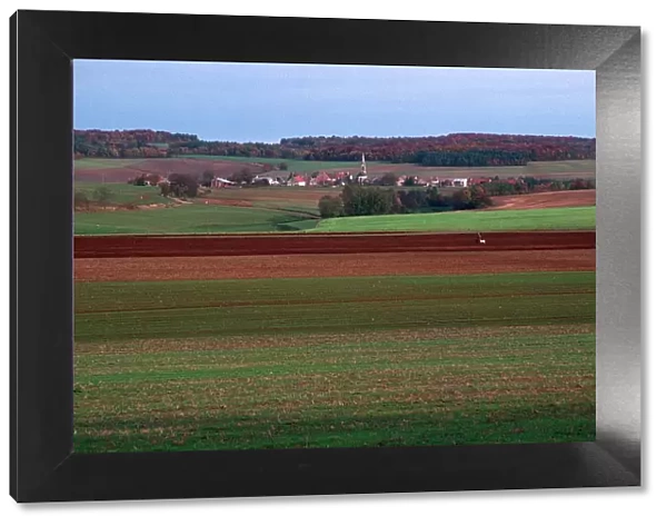 Landscape in Burgundy