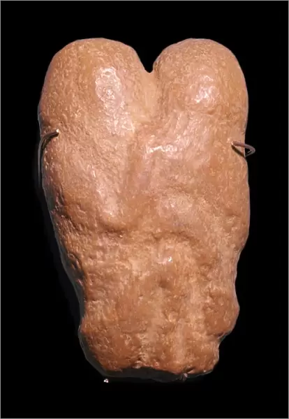 Calcite statuette showing two humans in an embrace, 30th century BC