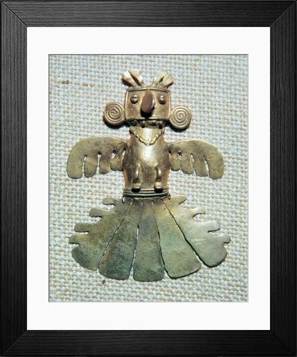 Framed Print : Native American gold condor Framed Print : Native American gold condor