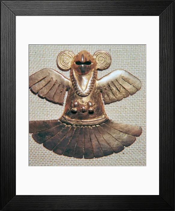 Framed Print : Native American gold condor Framed Print : Native American gold condor