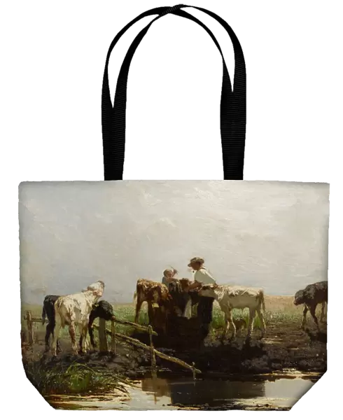 Calves at a trough. Artist: Maris, Willem (1844-1910)