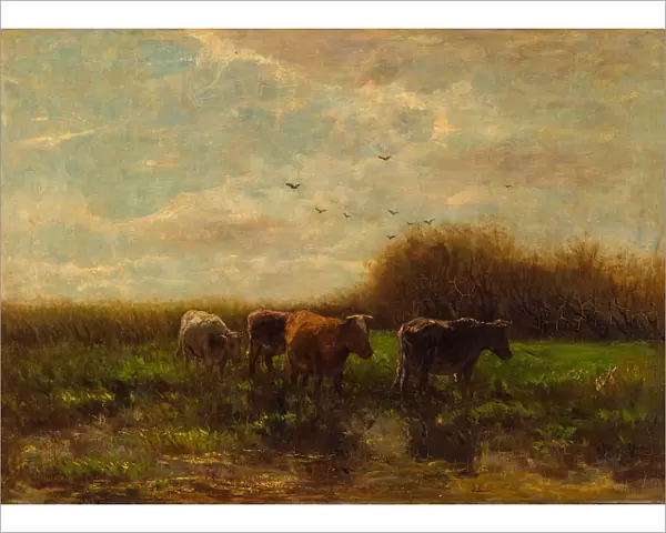 Cows at evening. Artist: Maris, Willem (1844-1910)