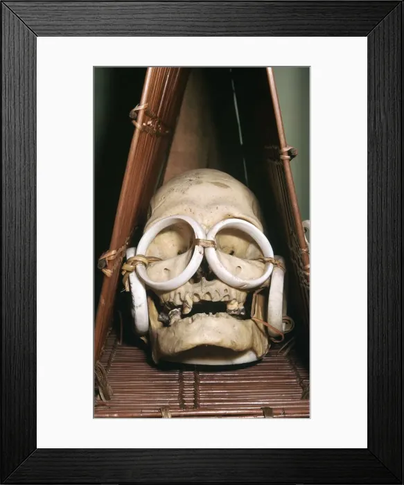 Framed Print : Model boat containing a chiefs skull from the Solomon Isles Framed Print : Model boat containing a chiefs skull from the Solomon Isles