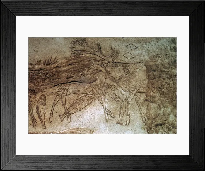 Framed Print : Engraved bone from Lortet, Hautes Pyrenees Framed Print : Engraved bone from Lortet, Hautes Pyrenees