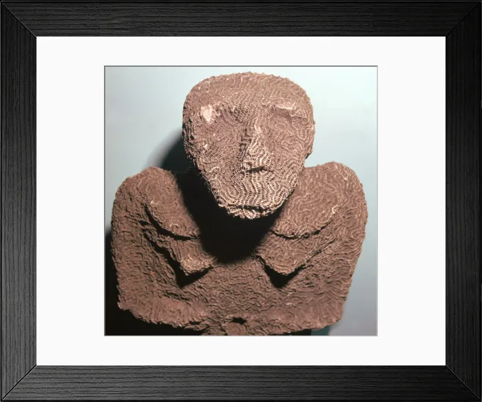Framed Print : Coral figure from the Torres Straits Islands Framed Print : Coral figure from the Torres Straits Islands